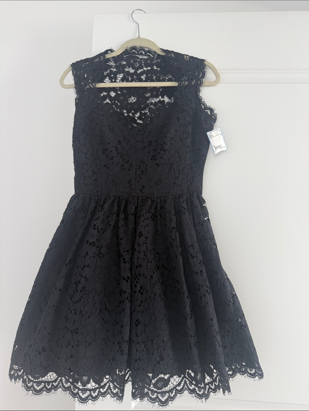 Alexis Black Lace Mini Dress
